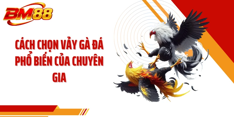 Cách chọn vảy gà đá phổ biến của chuyên gia