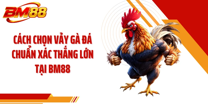 Cách Chọn Vảy Gà Đá Chuẩn Xác Thắng Lớn Tại BM88